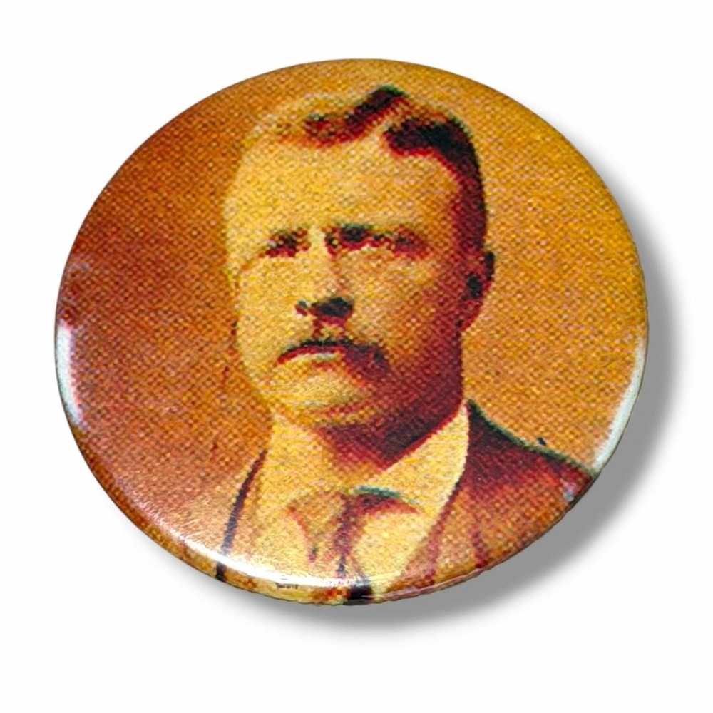 President Theodore Teddy Roosevelt Portrait Repro Vintage Pinback Button B90